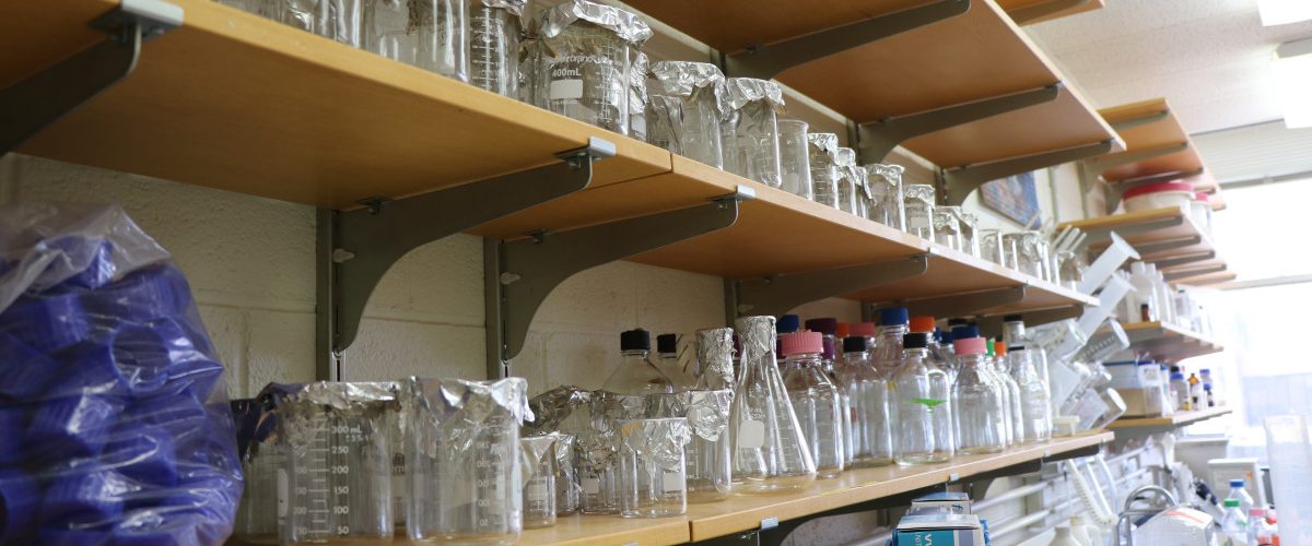 Shelf of glassware and beakers.
